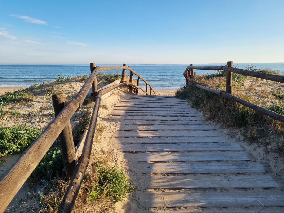 Hello Oliva Beach Bb 外观 照片